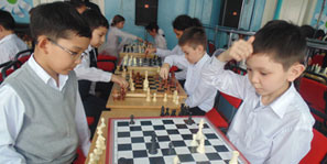 Проведение шахматного турнира